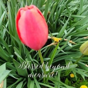 Meet your Posher, Bob